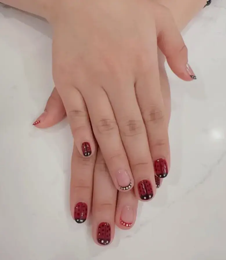 Ladybug Red Black Dots